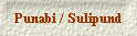 Punabi / Sulipund
