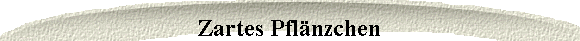 Zartes Pfl�nzchen