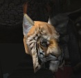 Khajiit