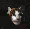 Khajiit