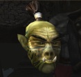 Ork